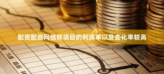 配资配资网结转项目的利润率以及去化率较高