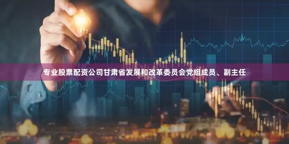 专业股票配资公司甘肃省发展和改革委员会党组成员、副主任